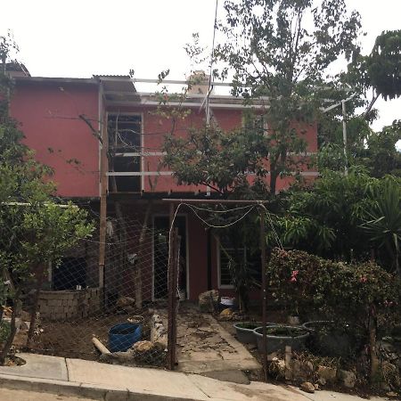 La Casa Del Nenufar Hotel Oaxaca ภายนอก รูปภาพ