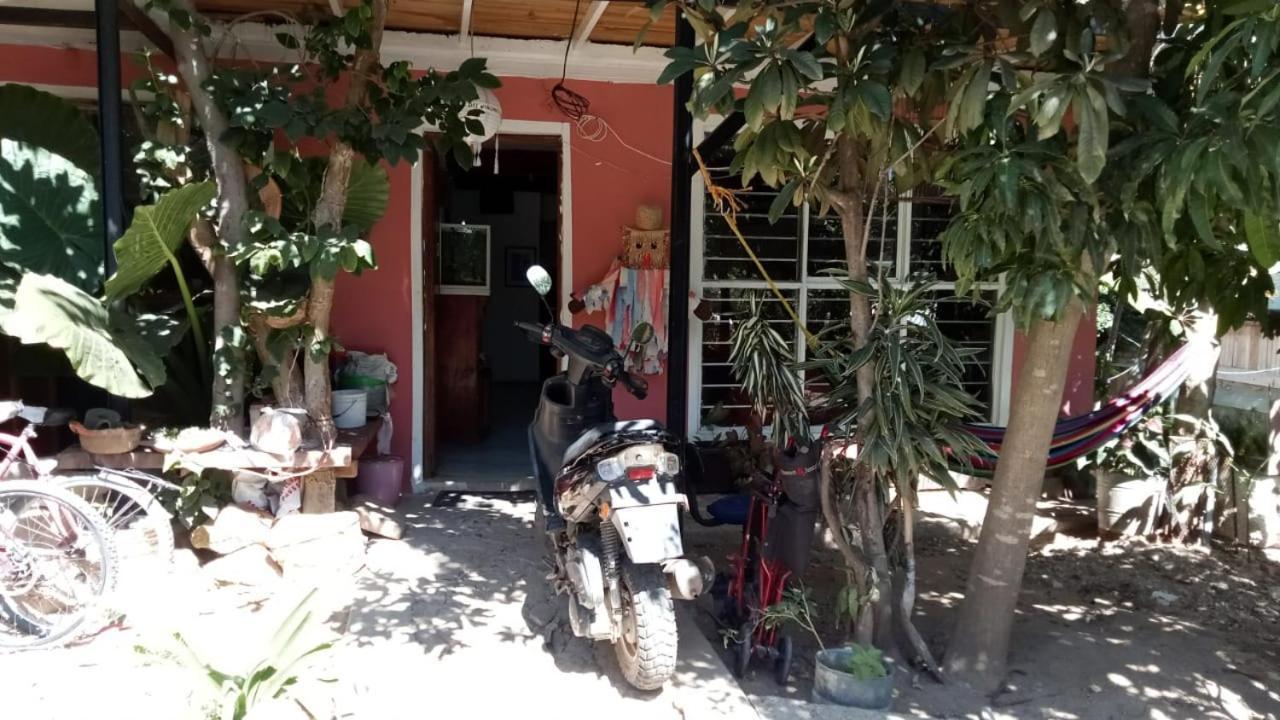 La Casa Del Nenufar Hotel Oaxaca ภายนอก รูปภาพ