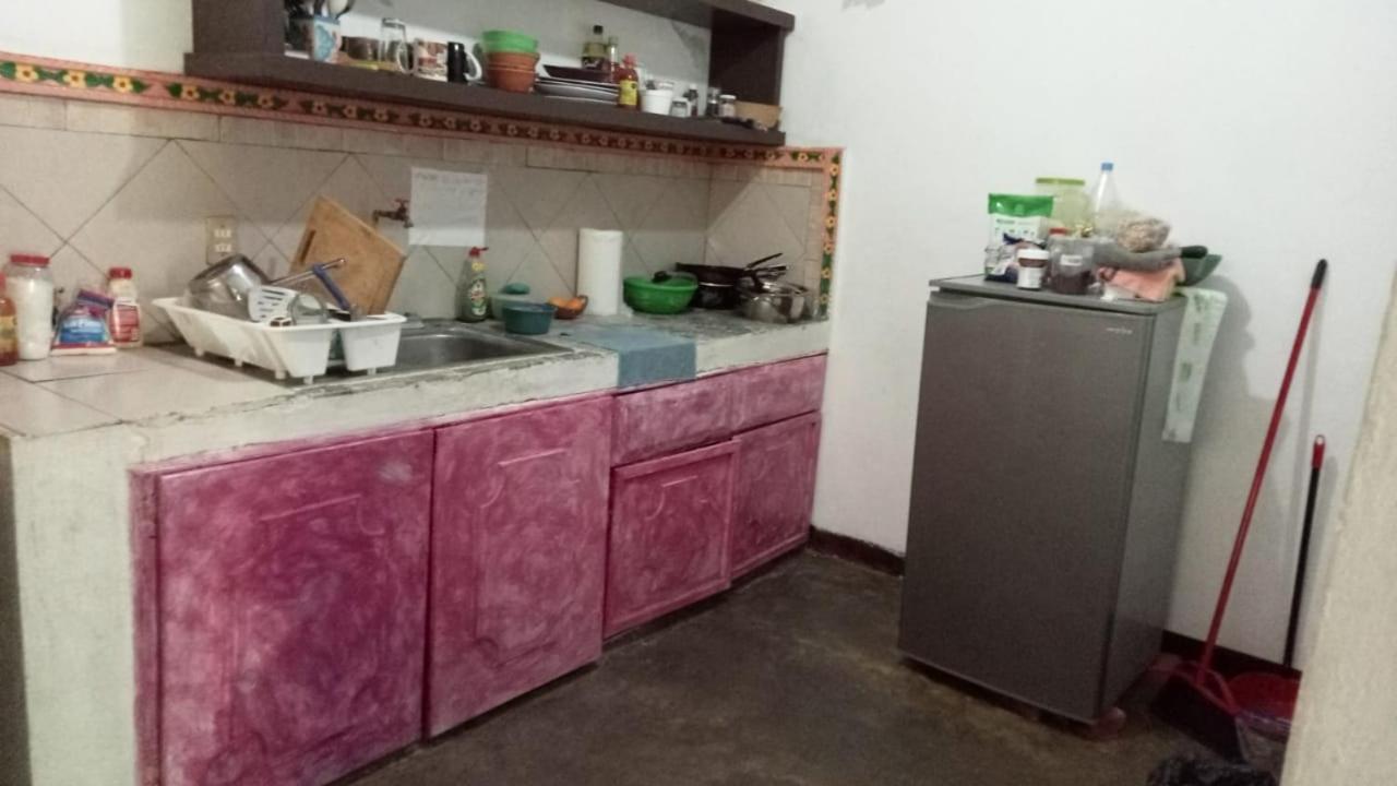 La Casa Del Nenufar Hotel Oaxaca ภายนอก รูปภาพ