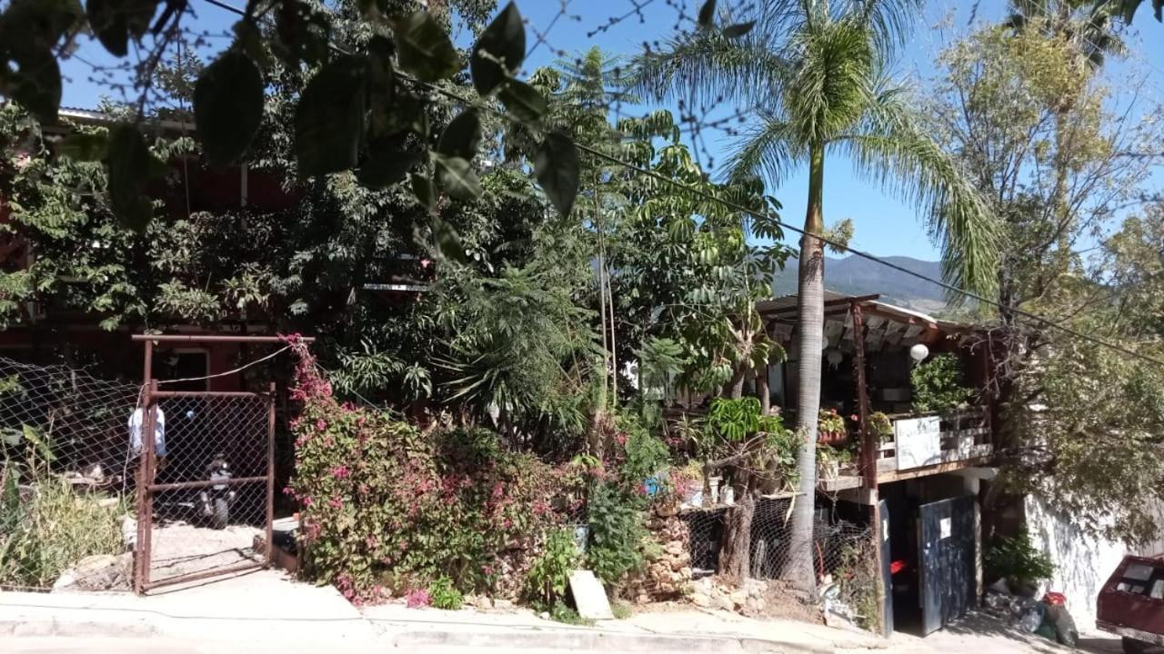 La Casa Del Nenufar Hotel Oaxaca ภายนอก รูปภาพ