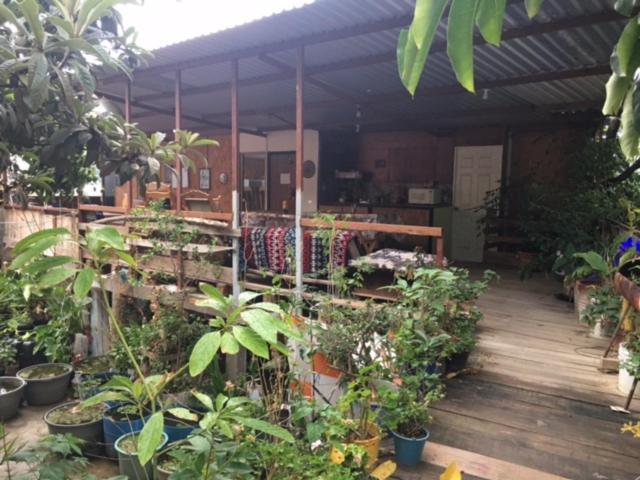 La Casa Del Nenufar Hotel Oaxaca ภายนอก รูปภาพ