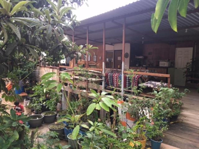 La Casa Del Nenufar Hotel Oaxaca ภายนอก รูปภาพ